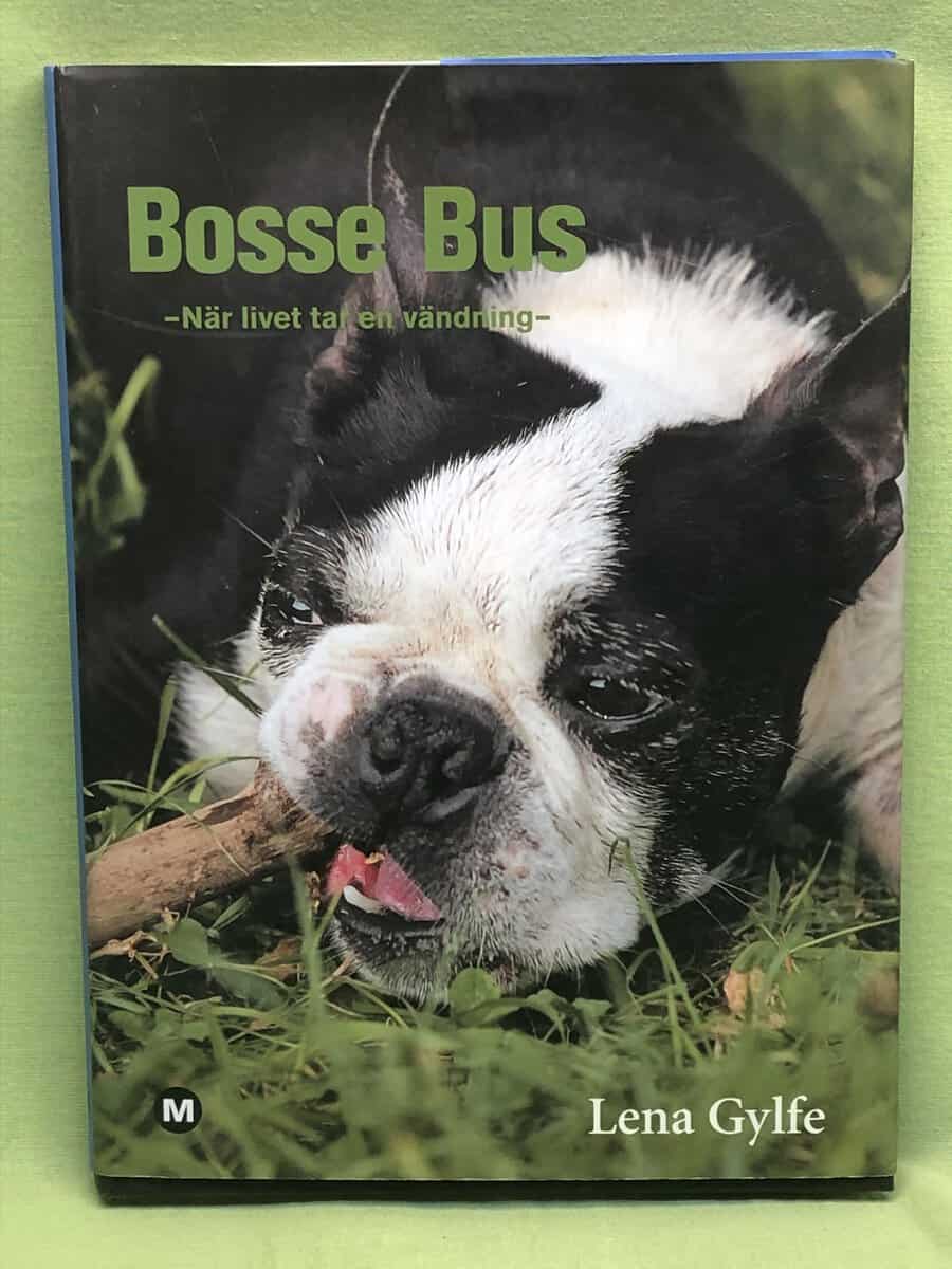Lena Gylfe : Bosse Bus