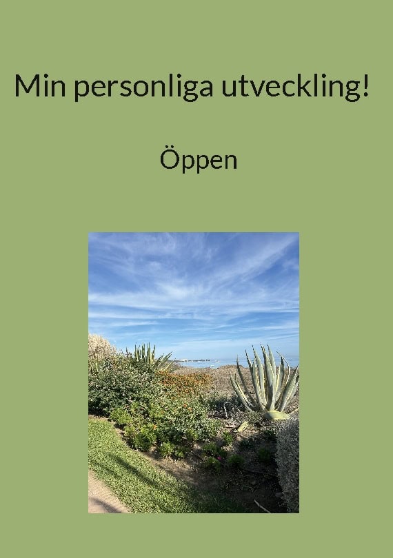 Lena Löfgren : Min personliga utveckling