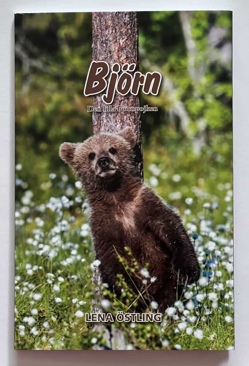 Lena Östling : Björn, den lilla björnpojken