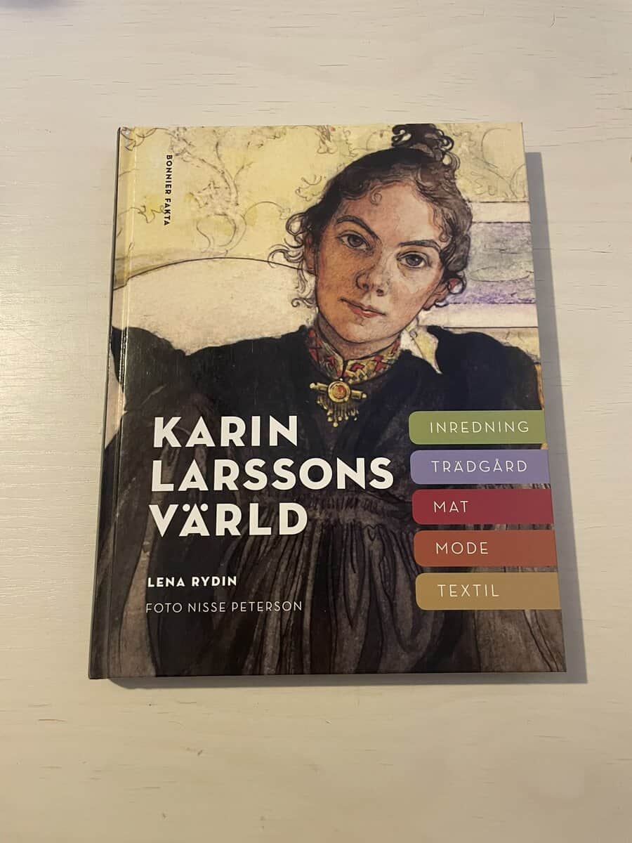 Lena Rydin : Karin Larssons värld