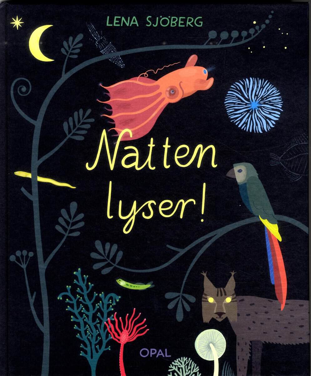 Lena Sjöberg : Natten lyser!