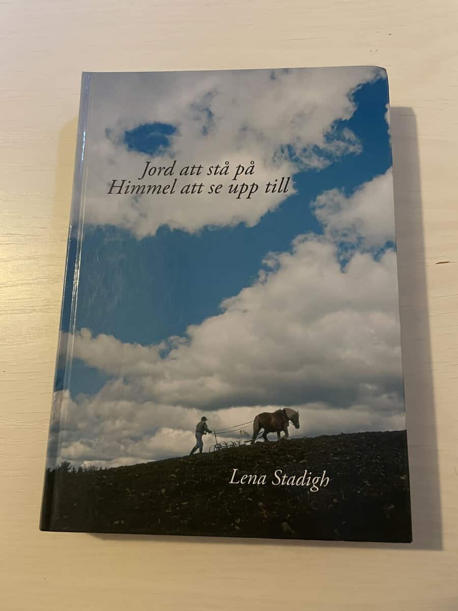 Lena Stadigh : Jord att stå på, himmel att se upp till