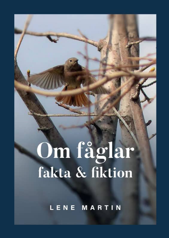 Lene Martin : Om fåglar, fakta & fiktion
