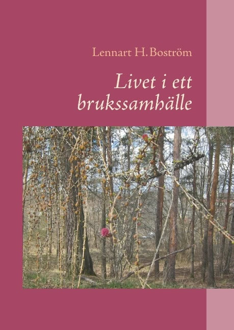 Lennart H. Boström : Livet i ett brukssamhälle