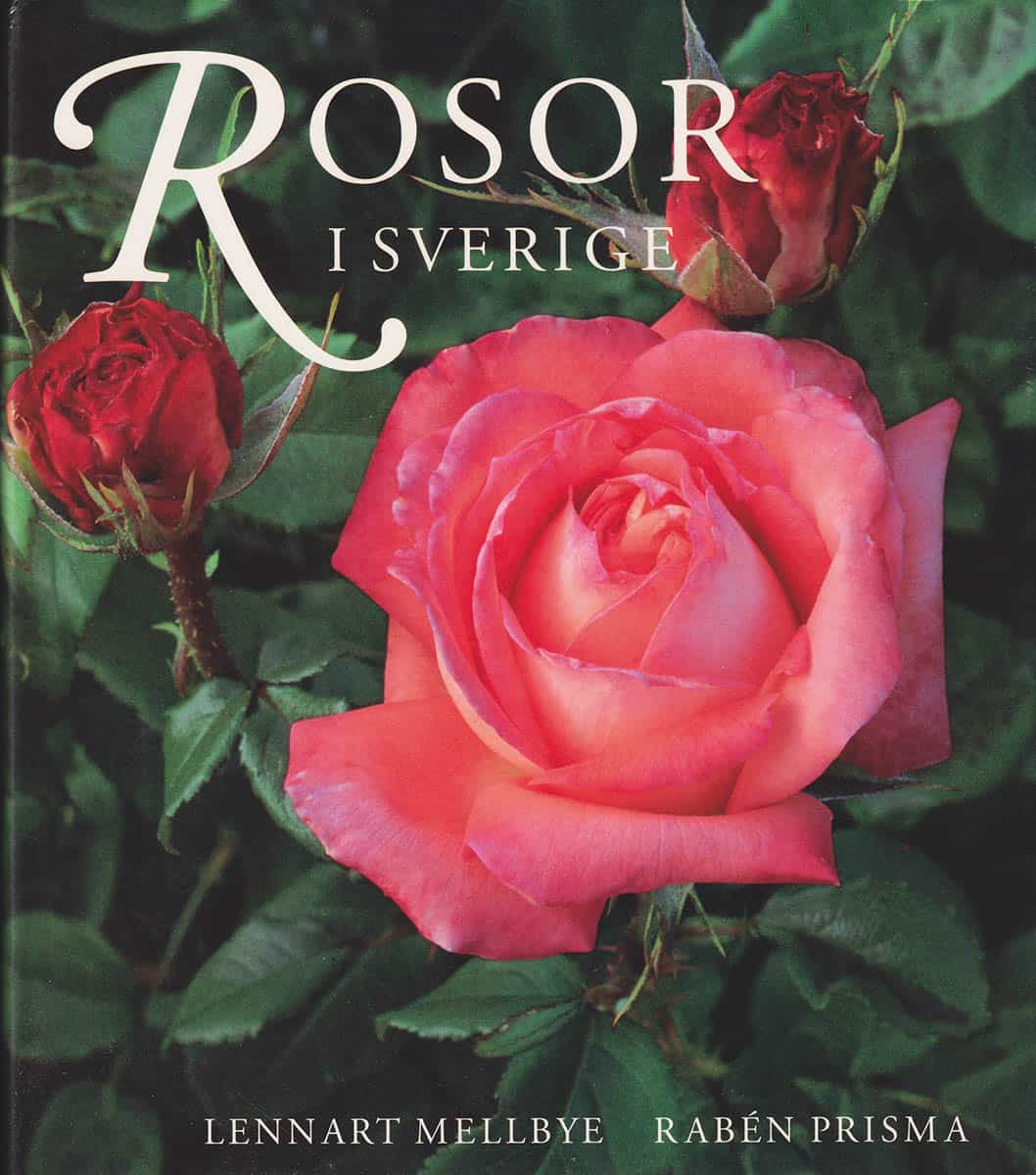 Lennart Mellbye : Rosor i Sverige