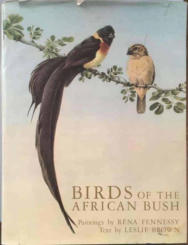 Leslie Brown (text) ; Rena Fennessy (bild) : Birds of the African Bush