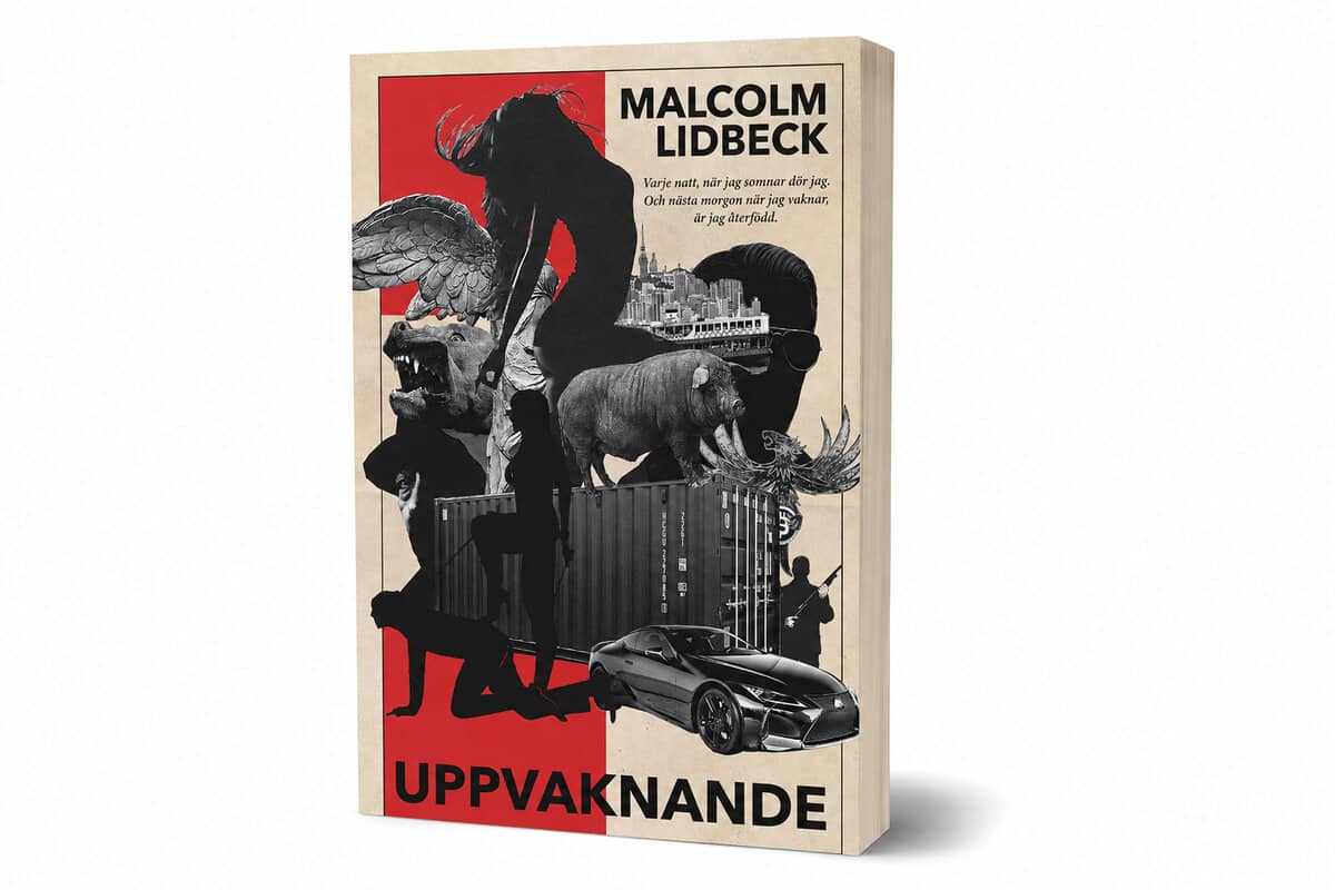 Lidbeck, Malcolm ; Lidbeck, Malcolm : Uppvaknande