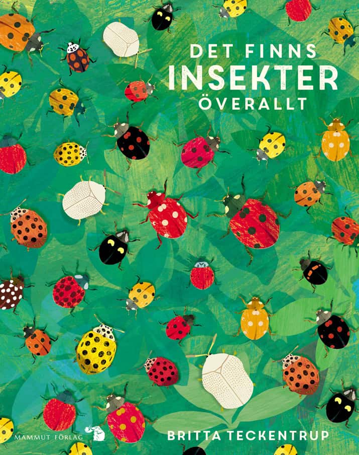 Lily Murray : Det finns insekter överallt