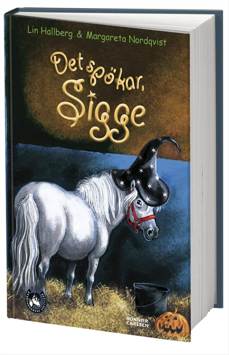 Lin Hallberg : Det spökar, Sigge