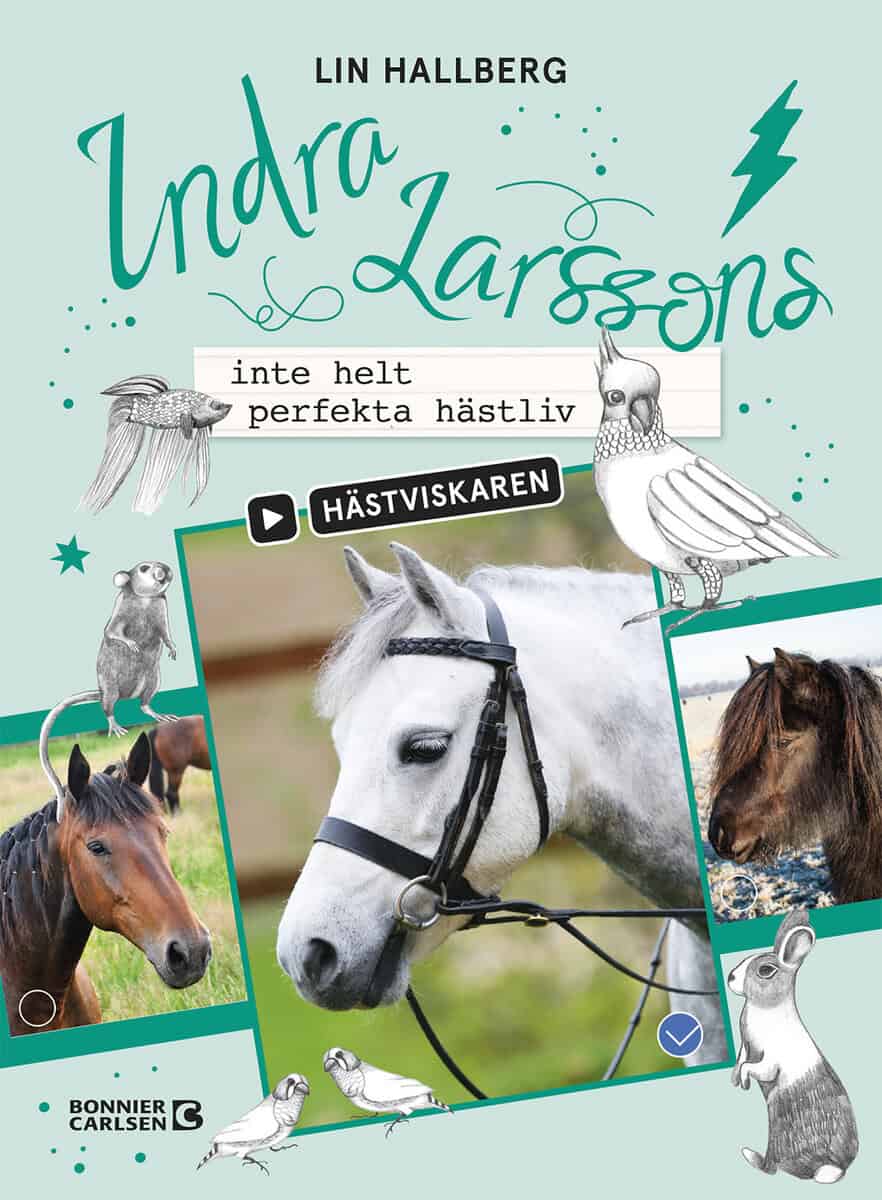 Lin Hallberg : Indra Larssons inte helt perfekta hästliv