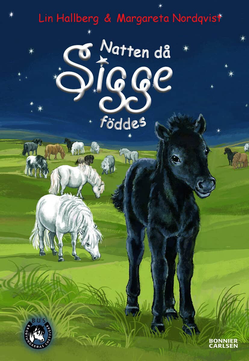Lin Hallberg : Natten då Sigge föddes