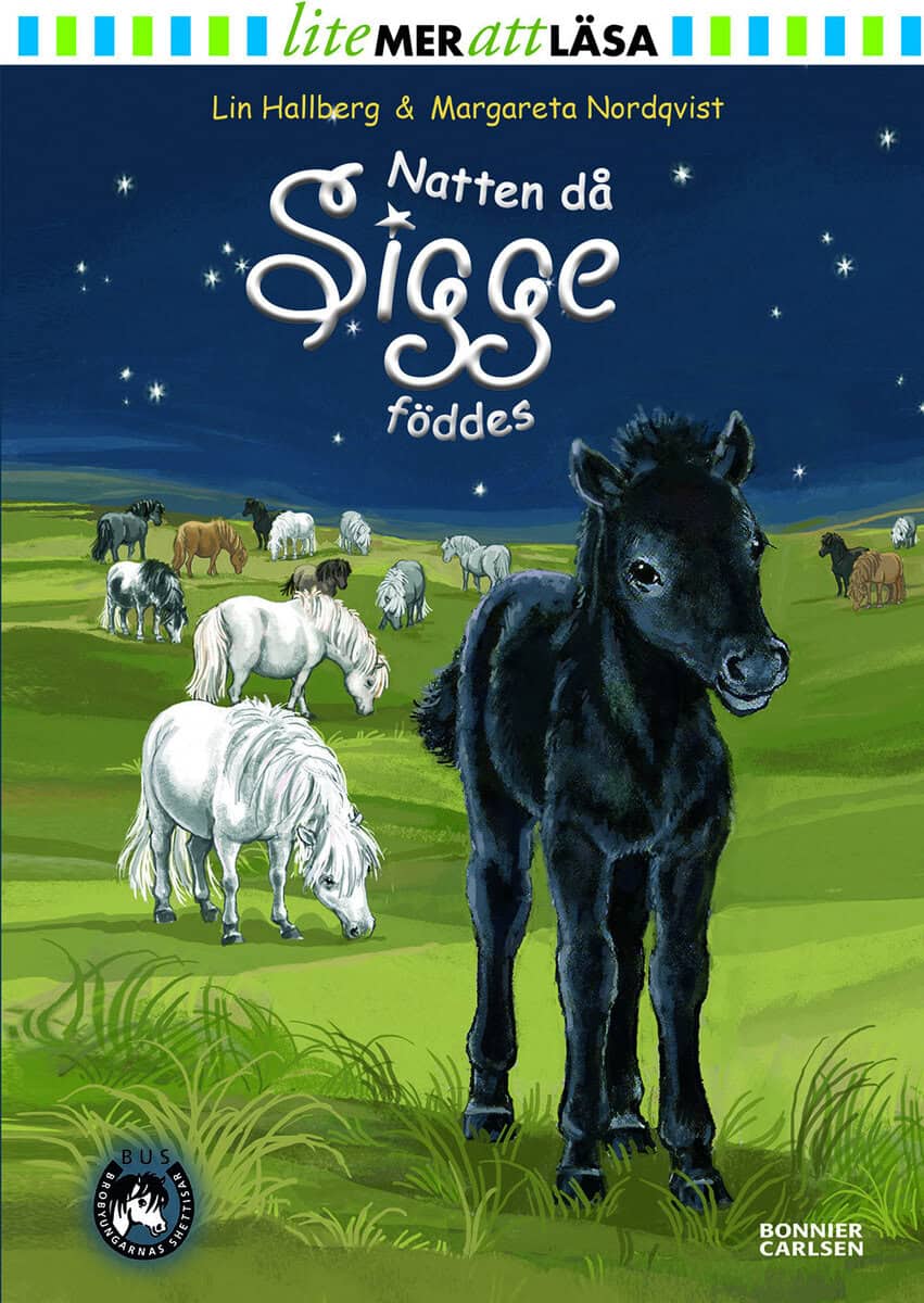 Lin Hallberg : Natten då Sigge föddes