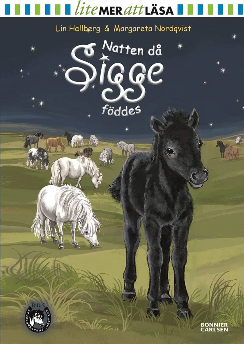 Lin Hallberg : Natten då Sigge föddes