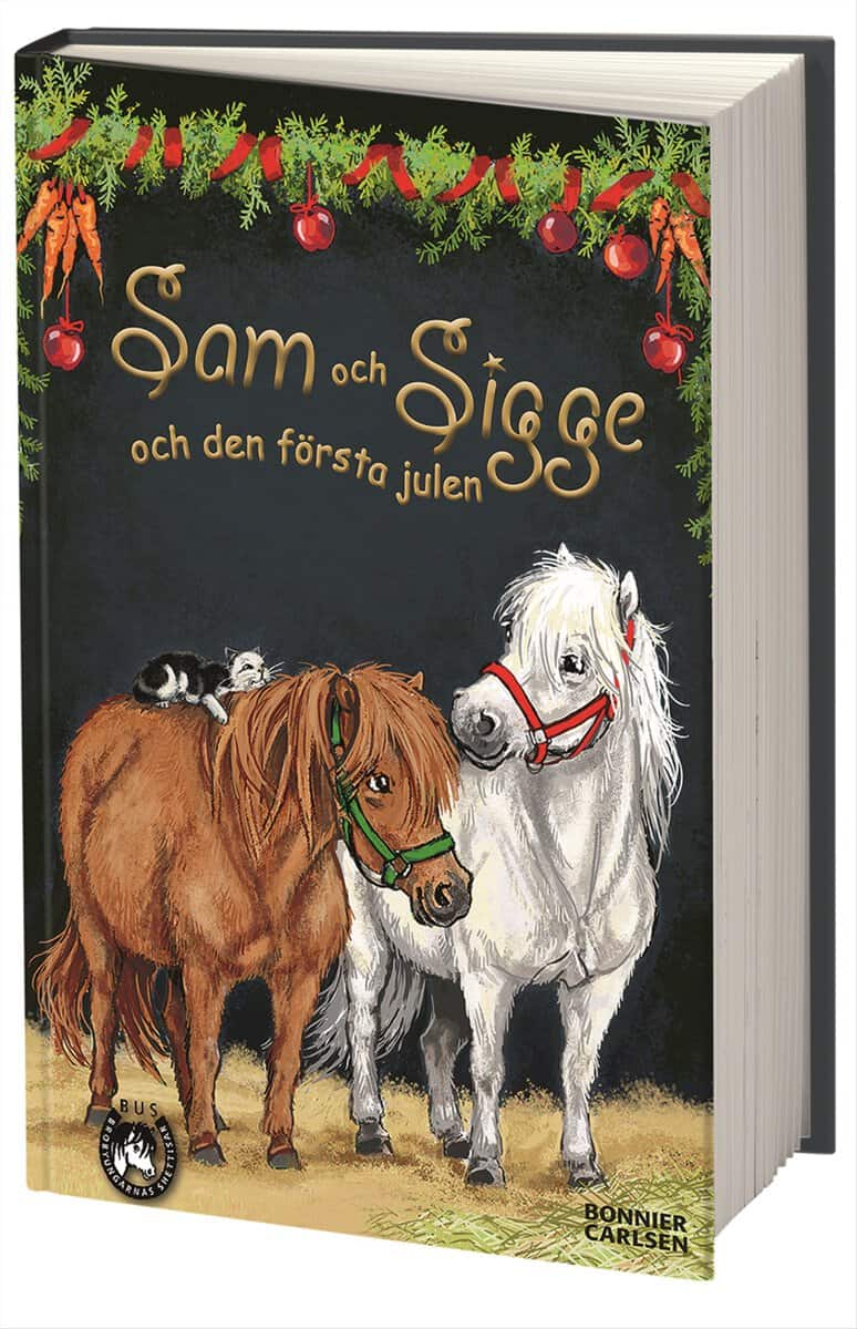Lin Hallberg : Sam och Sigge och den första julen