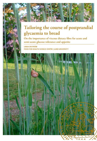 Linda Ekström : Tailoring the course of postprandial glycaemia to bread