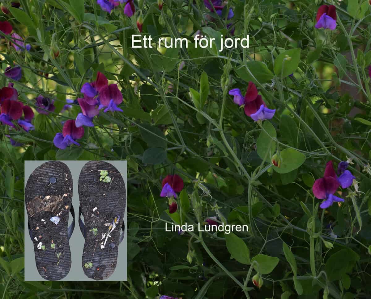 Linda Lundgren : Ett rum för jord