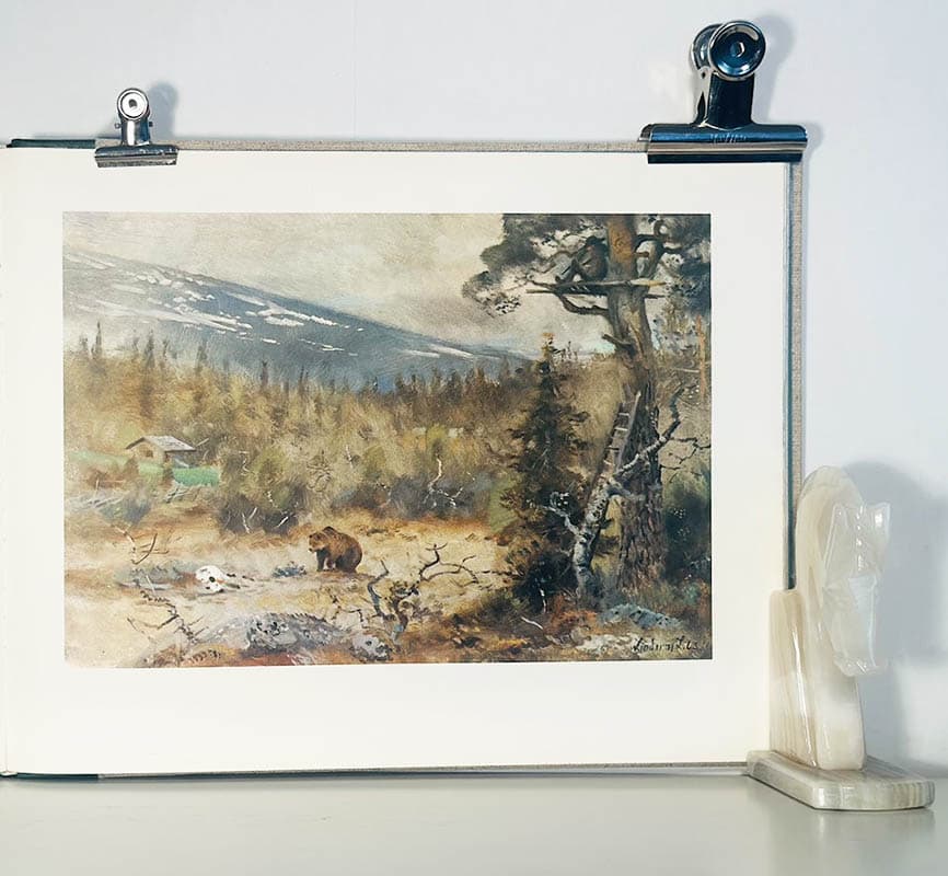 Lindorm Liljefors : Jakt i Norden