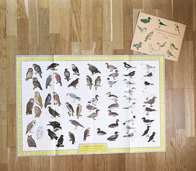 Lindqvists fågelkarta. Rovfåglar - Simfåglar. 60 fåglar ur Fågelguiden 384 nordiska fåglar i färg