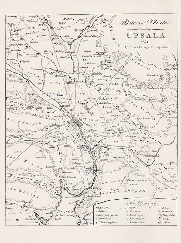 [Linné, Carl von (1707-1778)]. Berg, Åke ; Uggla, Arvid Hjalmar (1883-1964) [red.] : Herbationes upsalienses. Protokoll över Linnés exkursioner i Uppsalatrakten. I. Herbationerna 1747 (allt som utkom)