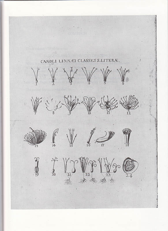 [Linné, Carl von (1707-1778)]. Engel-Ledeboer, M. S. J. (Maria Sara Johanna ; Engel, H. : Systema naturae, 1735. Facsimile of the First Edition. With an introduction and a first English translation of the 'Observationes' by M. S. J. Engel-Ledeboer and H. Engel. Professor of Zoology at the University of Amsterdam