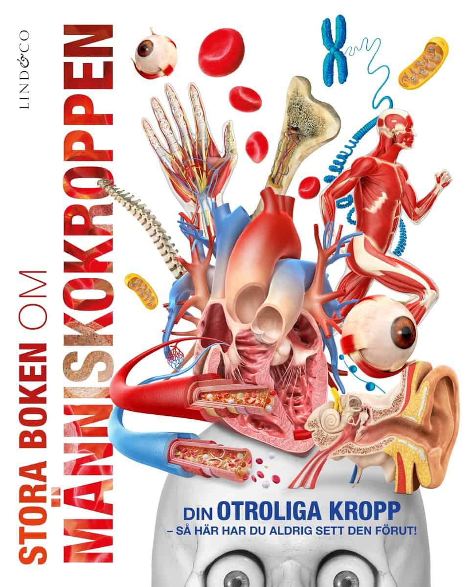 Lisa Gillespie : Stora boken om människokroppen