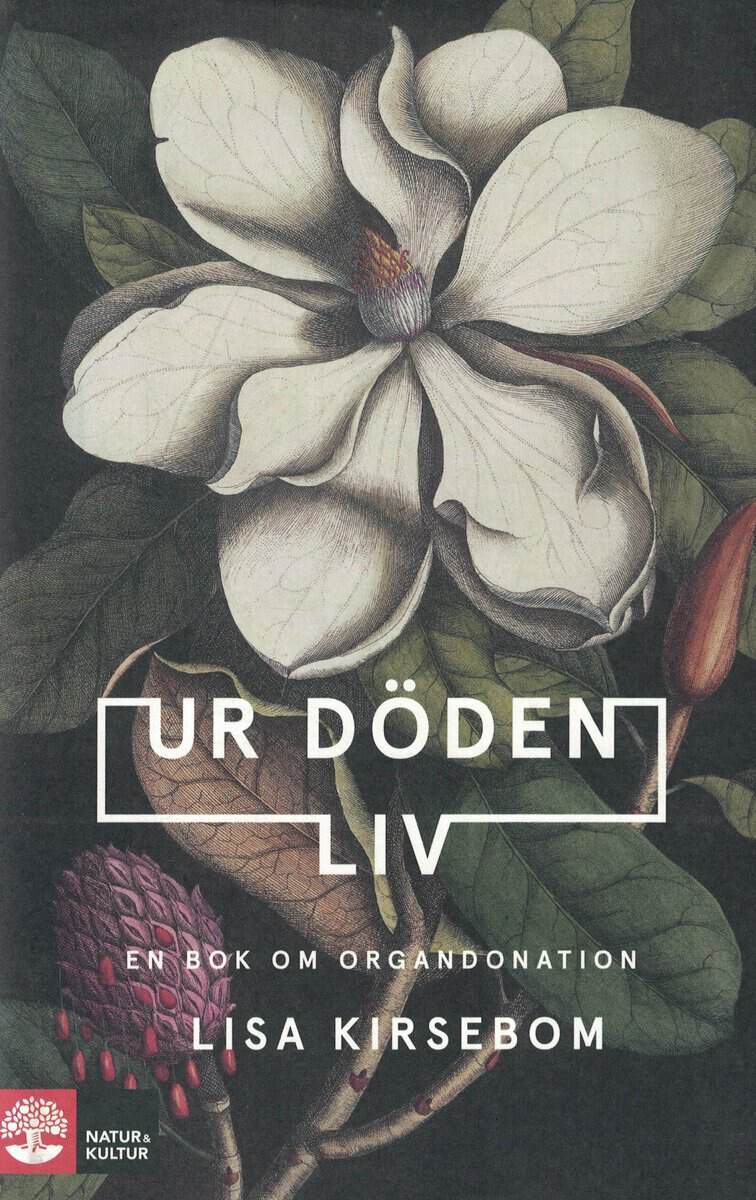 Lisa Kirsebom : Ur döden liv