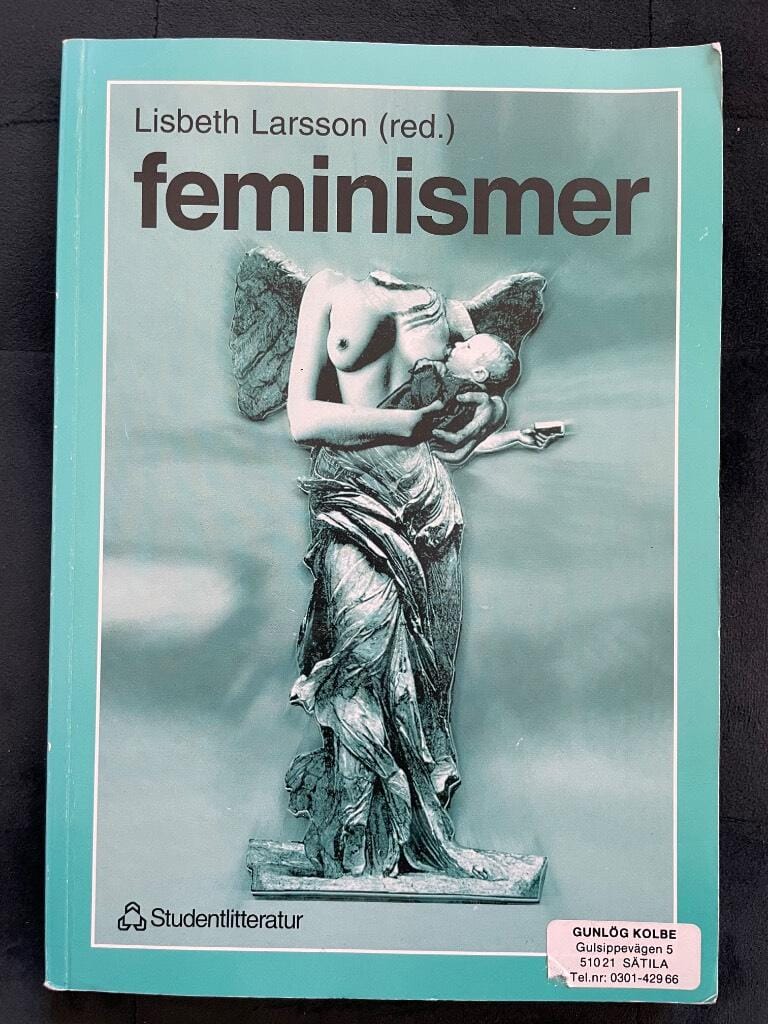 Lisbeth Larsson : Feminismer