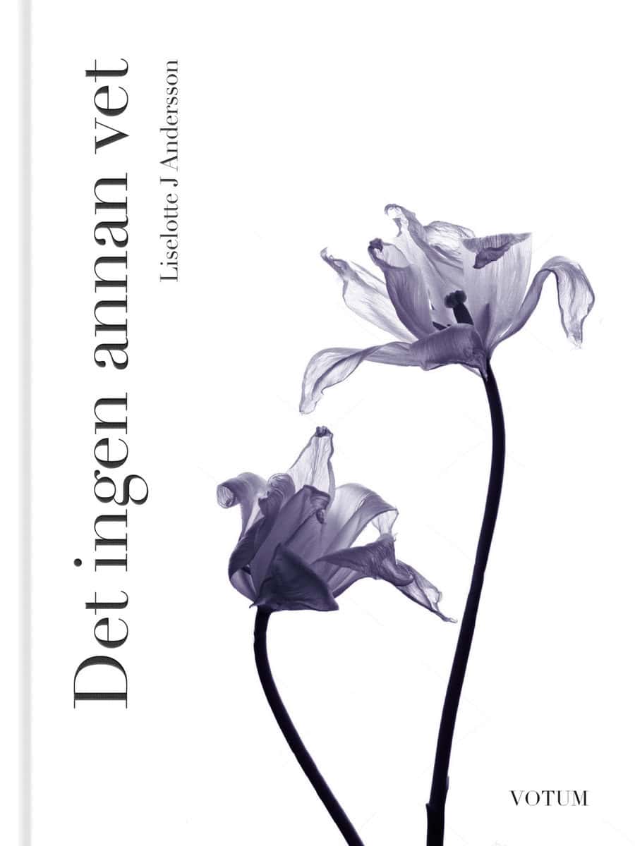 Liselotte J Andersson : Det ingen annan vet