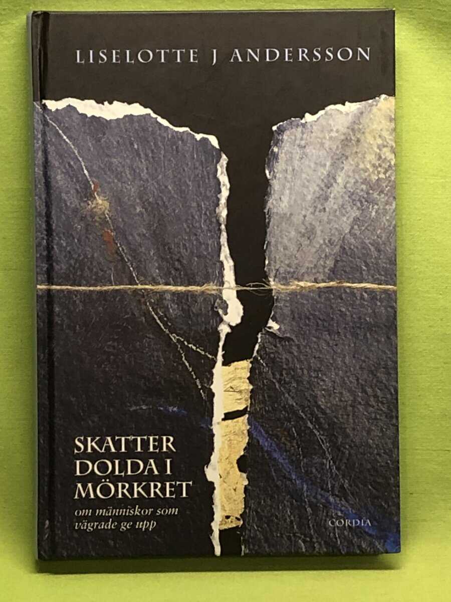 Liselotte J. Andersson : Skatter dolda i mörkret