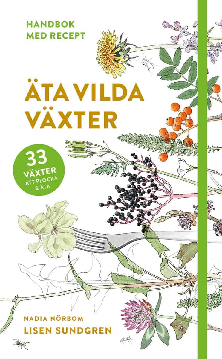 Lisen Sundgren : Äta vilda växter