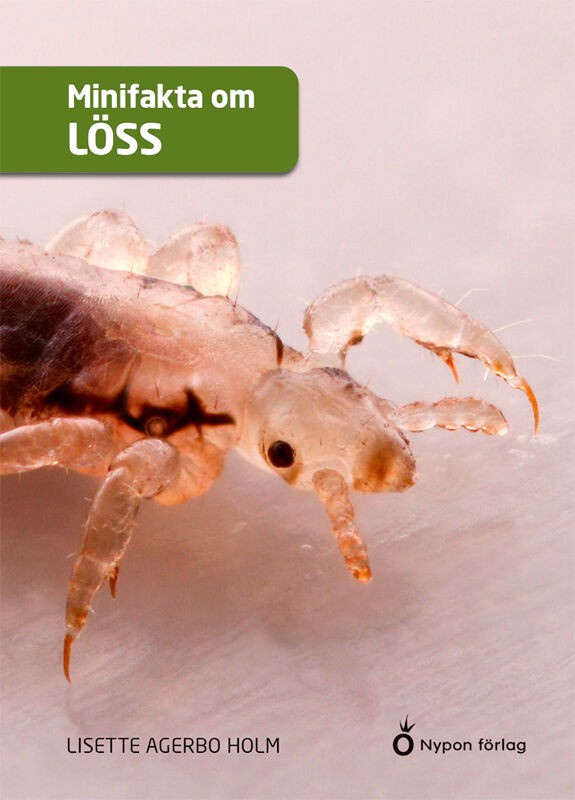 Lisette Agerbo Holm : Minifakta om löss
