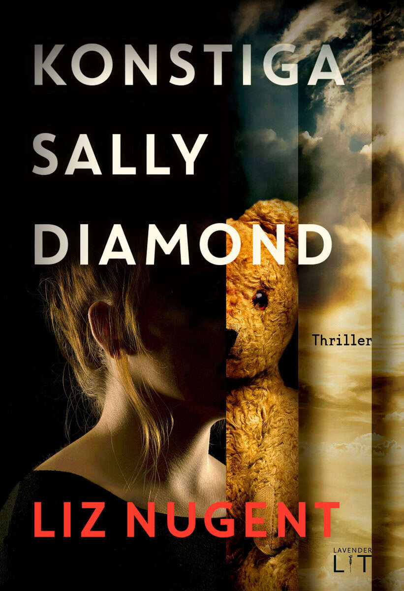 Liz Nugent : Konstiga Sally Diamond
