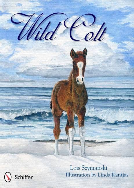 Lois Szymanski : Wild Colt