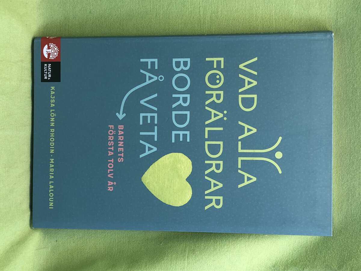 Lönn Rhodin, Kajsa, Lalouni, Maria : Vad alla föräldrar borde få veta