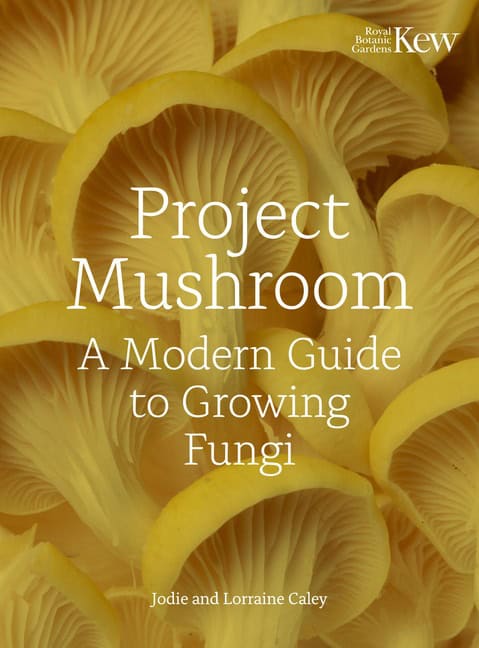 Lorraine Mary Caley : Project Mushroom