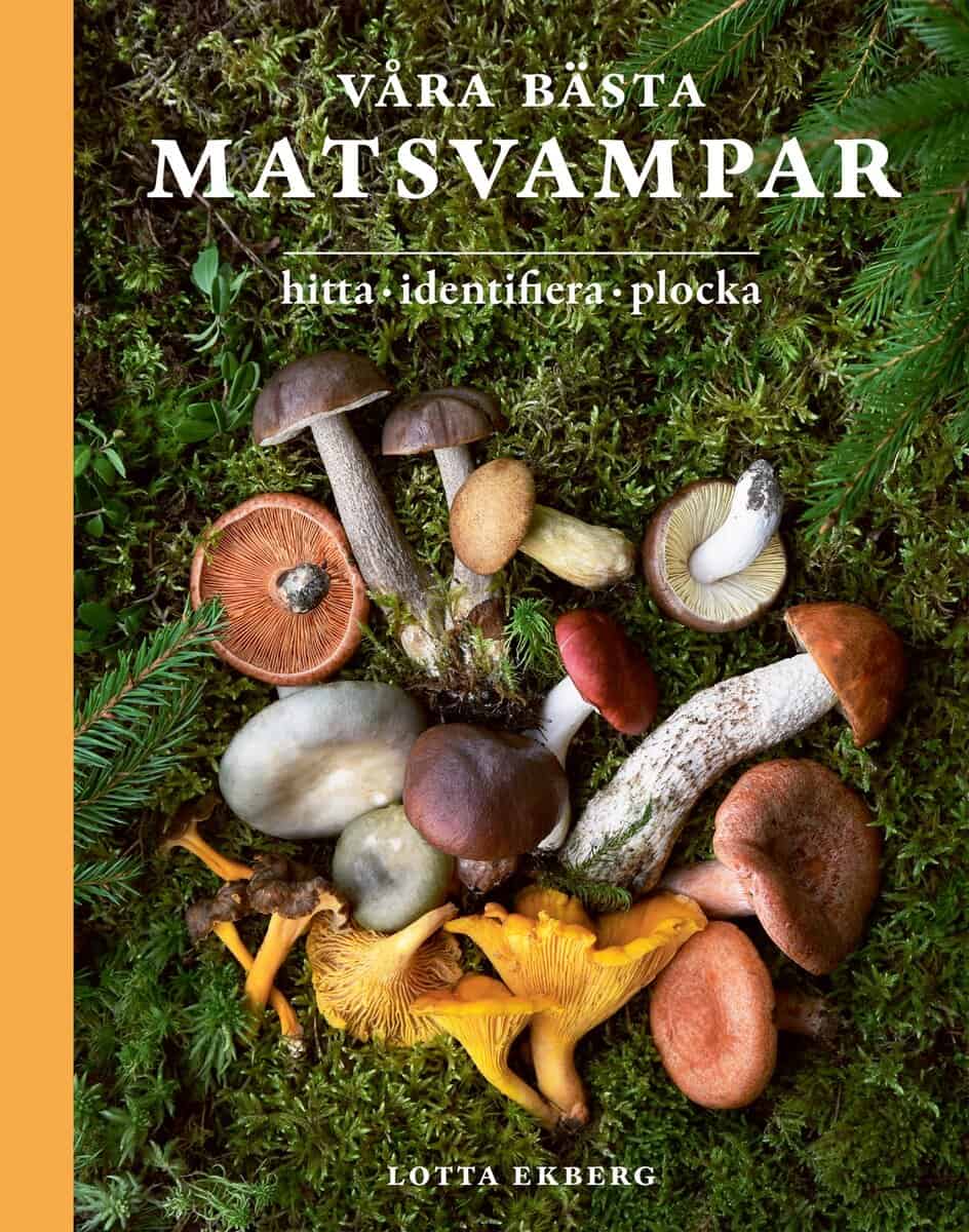 Lotta Ekberg : Våra bästa matsvampar : hitta, identifiera, plocka