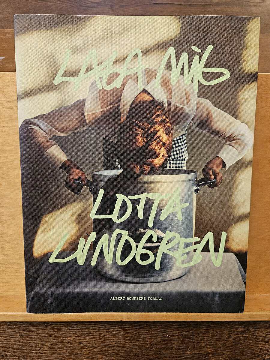 Lotta Lundgren : Laga mig