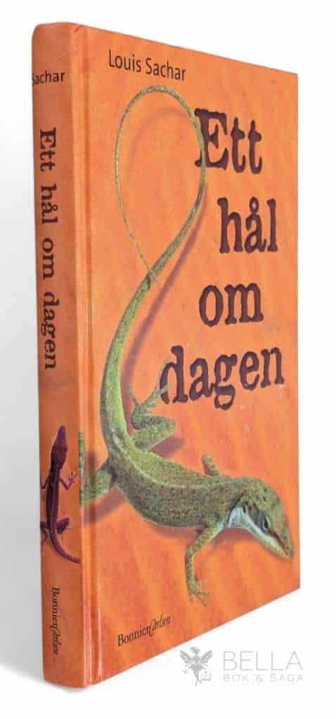 Louis Sachar : Ett hål om dagen