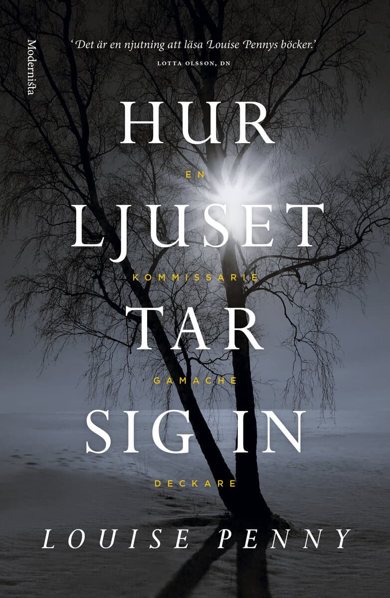 Louise Penny : Hur ljuset tar sig in