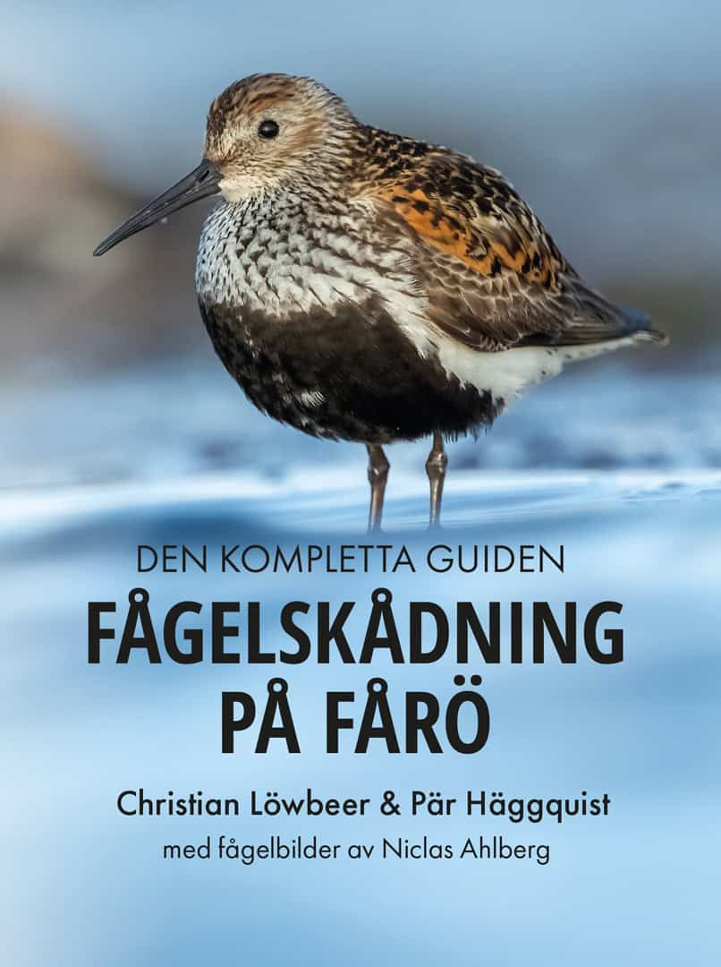 Löwbeer, Christian ; Häggquist, Pär ; Ahlberg, Niclas [red.] : Fågelskådning på Fårö