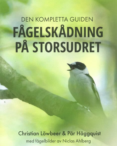 Löwbeer, Christian ; Häggquist, Pär ; Ahlberg, Niclas [red.] : Fågelskådning på Storsudret