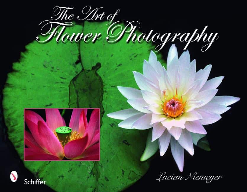 Lucian Niemeyer : Art of flower photography