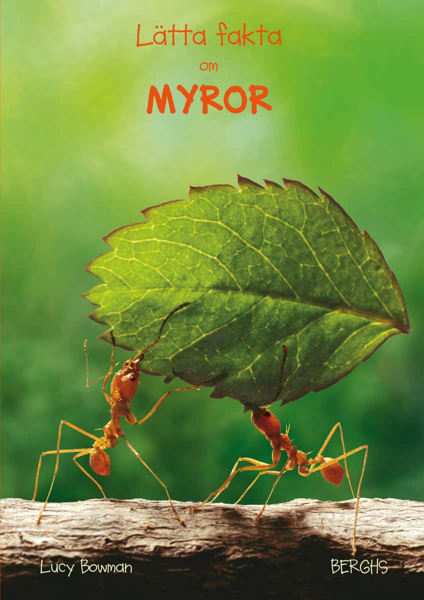 Lucy Bowman : Lätta fakta om myror