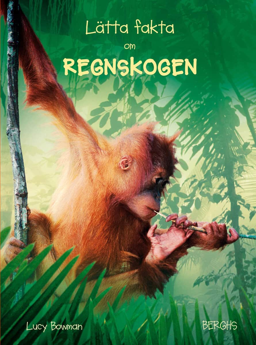 Lucy Bowman : Lätta fakta om regnskogen