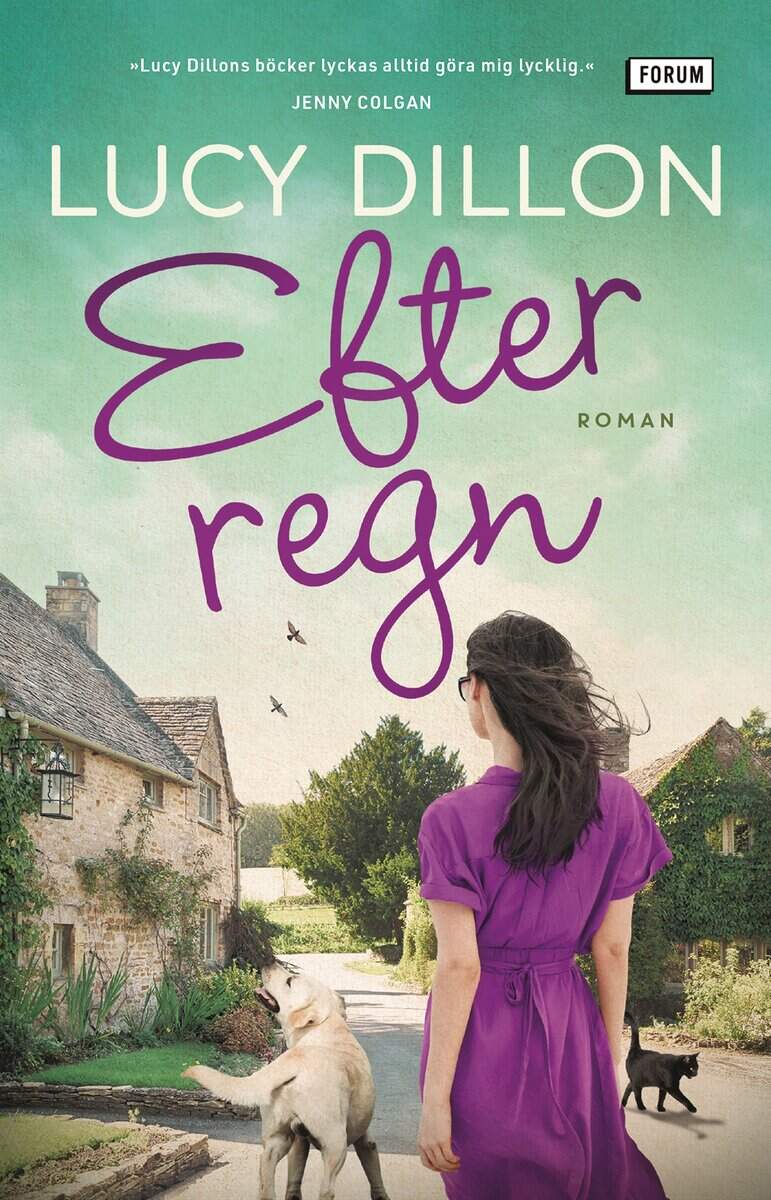 Lucy Dillon : Efter regn