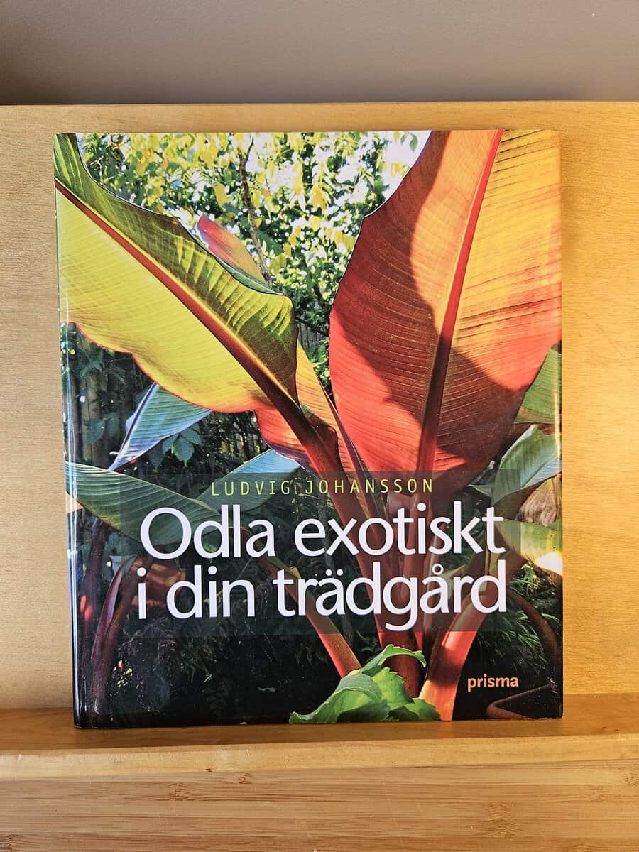 Ludvig Johansson : Odla exotiskt i din trädgård
