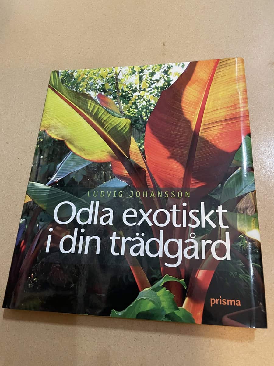 Ludvig Johansson : Odla exotiskt i din trädgård