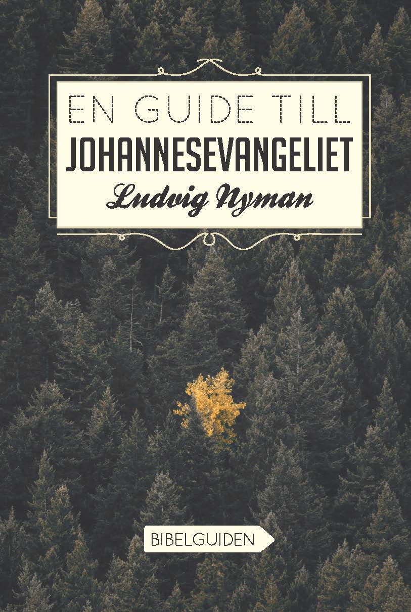 Ludvig Nyman : En guide till Johannesevangeliet