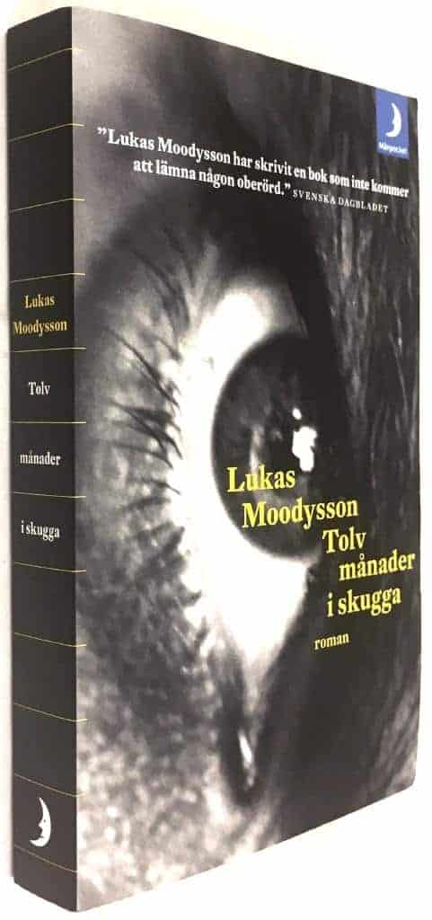 Lukas Moodysson : Tolv månader i skugga