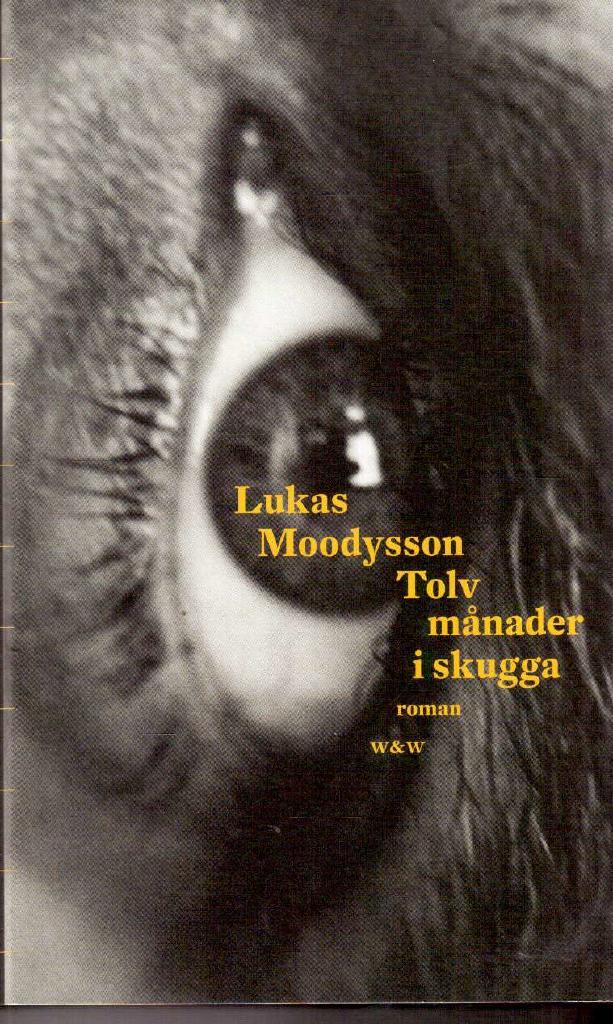 Lukas Moodysson : Tolv månader i skugga. Roman